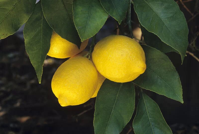 点击跳到上一张