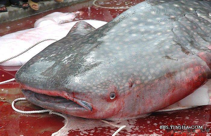 点击在新窗口查看原始图片